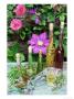 Bottles Of Herb Oil & Vinegar, Glass Jug & Saucer, On Painted Wooden Table by Linda Burgess Limited Edition Pricing Art Print
