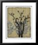 Branch In Silhouette Ii by Jennifer Goldberger Limited Edition Pricing Art Print