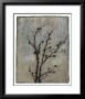 Branch In Silhouette V by Jennifer Goldberger Limited Edition Pricing Art Print