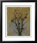 Branch In Silhouette Vi by Jennifer Goldberger Limited Edition Pricing Art Print