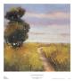 Low Country Landscape I by Adam Rogers Limited Edition Print
