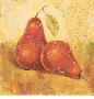 Paisley Pears Iii by Stefania Ferri Limited Edition Print