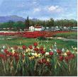 Red Flower Field by Hulsey Limited Edition Print