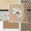 Shell Collage I by Carol Robinson Limited Edition Print