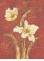 Tulip Tango by Regina-Andrew Design Limited Edition Pricing Art Print