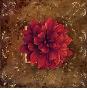 Ornamental Dahlia by Fabrice De Villeneuve Limited Edition Print