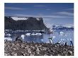Photographer, Cruise Ship And Adelie Penguins, Antarctica by Howie Garber Limited Edition Print