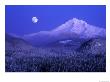 Moonrise Over Mt. Hood, Oregon, Usa by Janis Miglavs Limited Edition Print