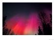 Curtains Of Northern Lights Above Fairbanks, Alaska, Usa by Hugh Rose Limited Edition Print