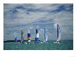 Catamarans, Florida Keys by Murry Sill Limited Edition Print