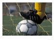 Goalie With Foot On A Soccer Ball by Fogstock Llc Limited Edition Print