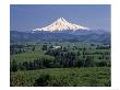 Mt. Hood And Hood River Valley, Oregon by Fogstock Llc Limited Edition Print