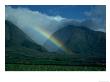 Rainbow Over Sugar Cane Fields, Maui, Hawaii by Mick Roessler Limited Edition Pricing Art Print