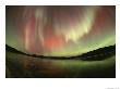 Brilliant Display Of Aurorae Over The Yukon Territory by Paul Nicklen Limited Edition Print