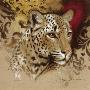 Eyes Of Amber by Joadoor Limited Edition Print