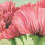 Pink Poppy Buds by Lynne Misiewicz Limited Edition Print