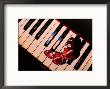 Butterfly On Piano Keyboard by Scott Berner Limited Edition Pricing Art Print