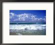 Beach, Barra Da Tijuca, Rio De Janeiro Brazil by Silvestre Machado Limited Edition Print