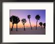 Clearwater, Florida, Sunrise Illuminates Pier 60 by John Coletti Limited Edition Print