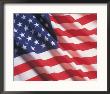 American Flag, Stars And Stripes by Terry Why Limited Edition Print