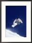 Man Snow Boarding, Co by Bob Winsett Limited Edition Print