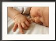 Sleeping Baby by Chris Lowe Limited Edition Print