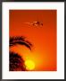 Airplane Flying Over Sunrise by Peter Walton Limited Edition Print