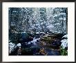 Adirondack Mountains, Lake Placid, Ny by Jim Schwabel Limited Edition Print