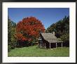Cabin Near Blue Ridge Parkway, North Carolina by Scott Berner Limited Edition Print