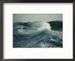 Close View Of A Cresting Wave by Maria Stenzel Limited Edition Print