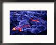 Glowing New Lava Flows Near Chain Of Craters Road, Hawaii Volcanos Np, Hawaii (Big Island), Usa by Ann Cecil Limited Edition Pricing Art Print