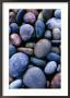 Detail Of Beach Pebbles, Murramarang National Park, Australia by Paul Sinclair Limited Edition Print