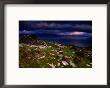 Dark Clouds Hanging Over Rock-Strewn Hillside Above Dingle Bay, Dingle, Ireland by Gareth Mccormack Limited Edition Print