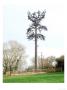 Mobile Phone Mast Diguised As Pine Tree, South Devon by Kidd Geoff Limited Edition Print