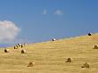 Italy, Tuscany, Bales Of Straw On Corn Field by Fotofeeling Limited Edition Print