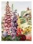 European Garden With Foxglove, Stock, Wallflower, And Scabiosa by National Geographic Society Limited Edition Pricing Art Print