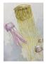Painting Of Three Species Of Jellyfish Floating Together by William H. Crowder Limited Edition Pricing Art Print