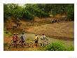 Guests On Mountain Biking Trip Watching Elephants, Mashatu Game Reserve, Botswana by Roger De La Harpe Limited Edition Print