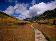 Historic Settlement Of Ashcroft In The Snowmass Wilderness, Snowmass, Colorado, Usa by Greg Gawlowski Limited Edition Print