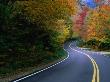 Autumn Maples Lining The Road In Mt. Mansfield State Forest, Stowe, Usa by Mark & Audrey Gibson Limited Edition Print