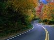 Autumn Maples Lining The Road In Mt. Mansfield State Forest, Stowe, Usa by Mark & Audrey Gibson Limited Edition Pricing Art Print