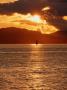 Sailboat Sails Into Sunset, San Francisco, California, Usa by Curtis Martin Limited Edition Print