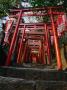 Red Torii Of Hie-Jinja (Shrine), Akasaka, Tokyo, Japan by Martin Moos Limited Edition Pricing Art Print