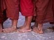 Line-Up Of Monk's Bare Feet At Ananda Festival, Bagan, Mandalay, Myanmar (Burma) by Anders Blomqvist Limited Edition Print