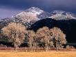 Cottonwoods And Mountaintops In Winter, Taos, New Mexico, Usa by Ralph Lee Hopkins Limited Edition Print