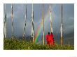 Rainbow And Monks With Praying Flags, Phobjikha Valley, Gangtey Village, Bhutan by Keren Su Limited Edition Pricing Art Print