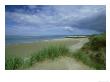 Marram Grass, Budle Bay Nature Reserve, Uk by Mark Hamblin Limited Edition Print