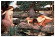 Echo And Narcissus by John William Waterhouse Limited Edition Pricing Art Print
