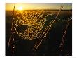 Spider Web At Sunrise, Fort Niobrara National Wildlife Refuge, Nebraska, Usa by Chuck Haney Limited Edition Print