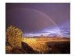 Rainbow From Gooseberry Mesa Looking To Smithsonian Butte, Near Virgin, Utah, Usa by Chuck Haney Limited Edition Print